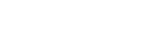 Dizzy Squirrel - Web, Design & Mobile App Development